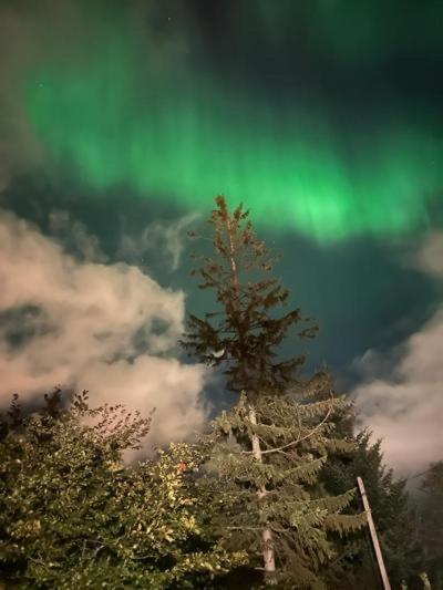 Aurora