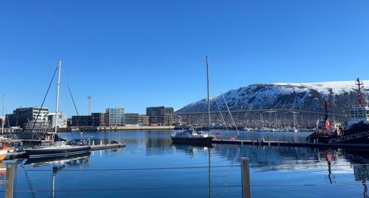 Aurora Tromso